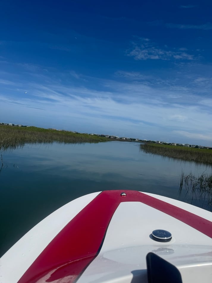 Mini boat nose on the marsh
